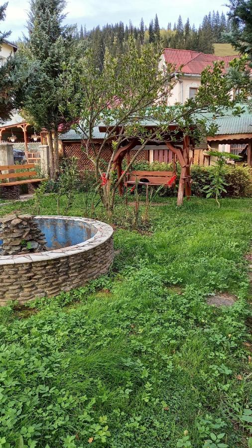 Casa Cu Lavanda Ватра-Дорней Экстерьер фото